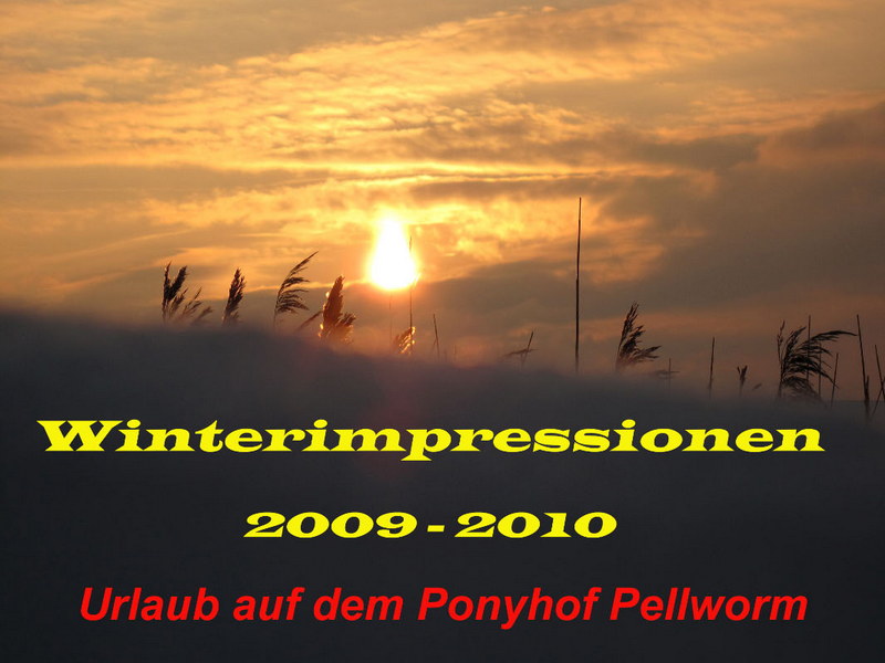 Ponyhof Pellworm